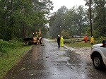 Storm damage fallen trees